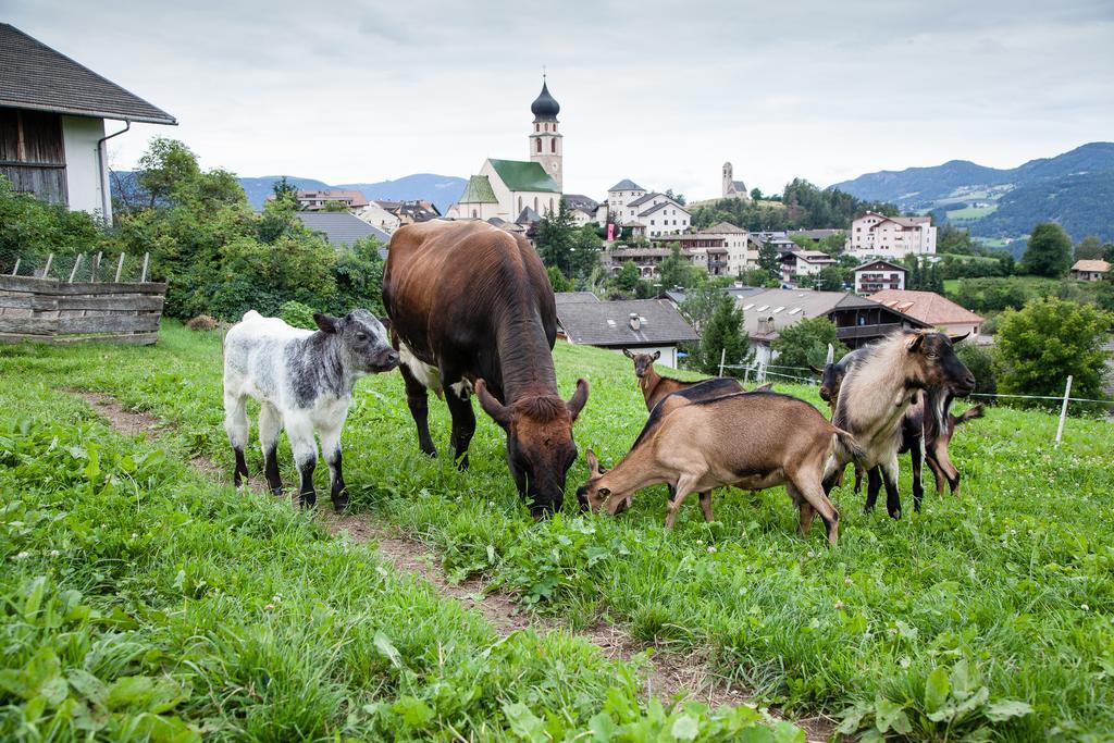 Merlhof Фие Экстерьер фото
